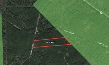 12 acres in Angelina County