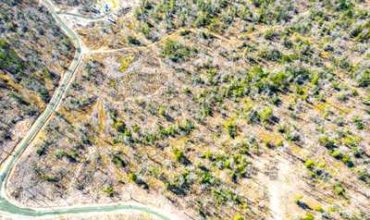 18 acres in Jasper County