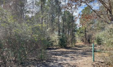 103 acres in Marion County