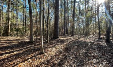 36 acres in Angelina County, Texas