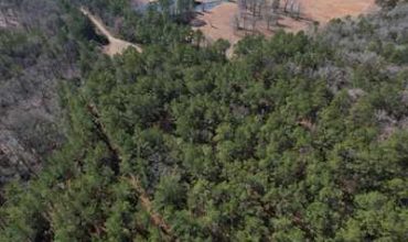 13 acres in Angelina County, Texas