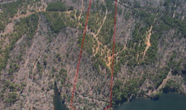 15.08 acres in Marion County