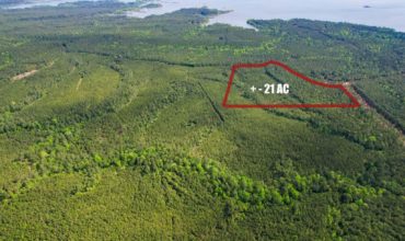 21 acres in San Augustine County