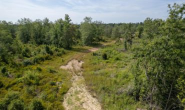 25.42 acres in Tyler County