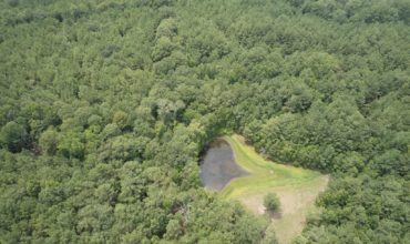 29.5 acres in Hardin County