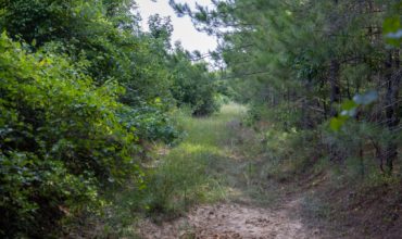30.28 acres in Tyler County