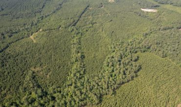 32.45 acres in Tyler County