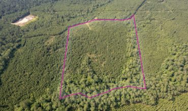 38.91 acres in Tyler County