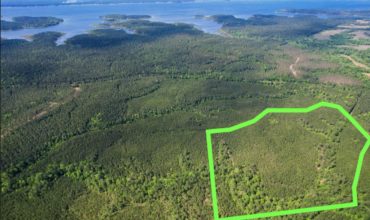 50 acres in San Augustine County