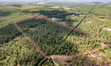 54 acres in Hardin County