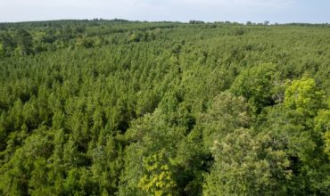 6.67 acres in Tyler County