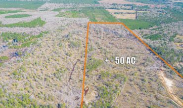50 AC Buna, TX