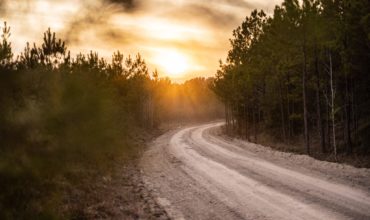 Trinity County 34 acres