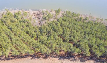 Lot 112 Eagles Landing 1.79 AC San Augustine County