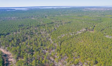 Eagle’s Landing Lot 96