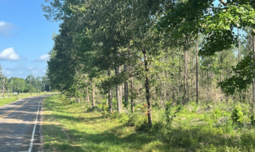 Angel Pines – Lot 9